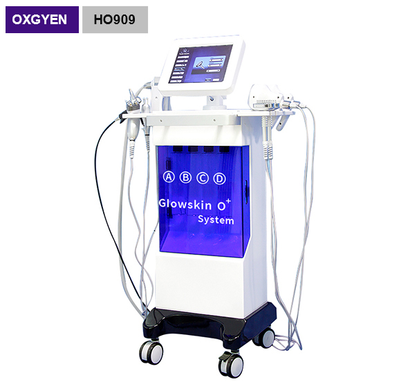 Multifunctional 10 in 1 facial care skin Moisturizing hydra oxygen jet peel facial care machine HO909