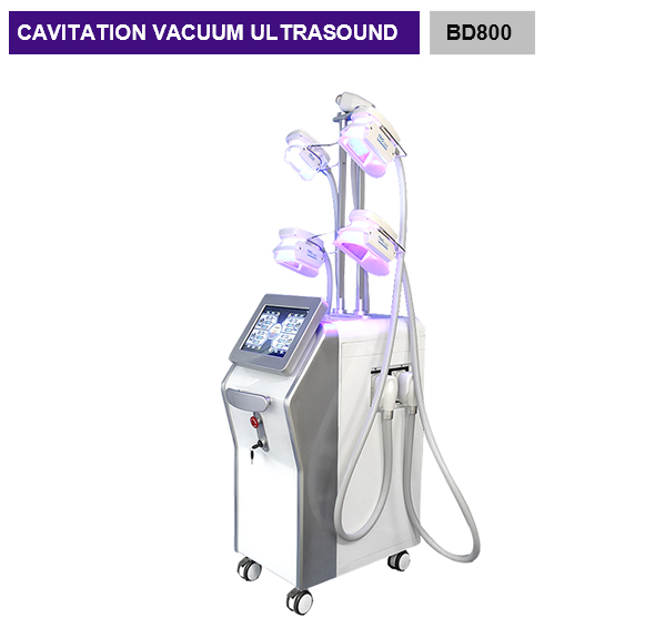 5 Handle Weight Loss Cryolipolysis Machine / Fat Freezing Vacuum Cavitation Slimming Machine BD800