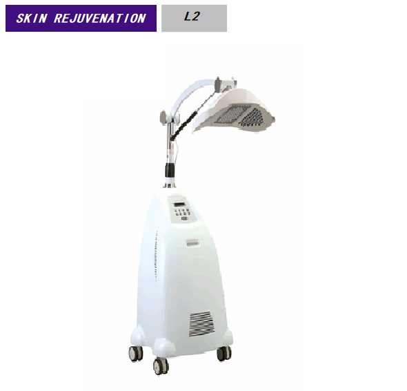 L2 multifunctional pdt therapy led light skin care professional manufacturer beauty machine