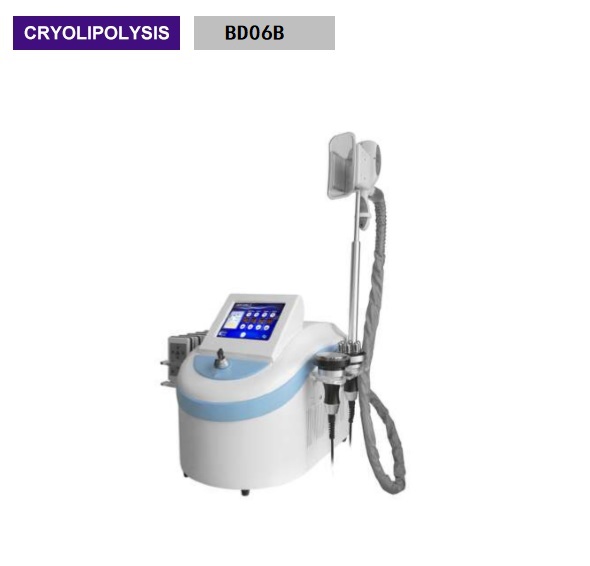 Body Sculpting Cryolipolysis Slimming Machine Portable Style Weight Loss Machine BD06B