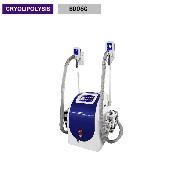 8.4 Inch LCD Display Multi Function Beauty Equipment  Fat Freezing Cryolipolysis BD06C