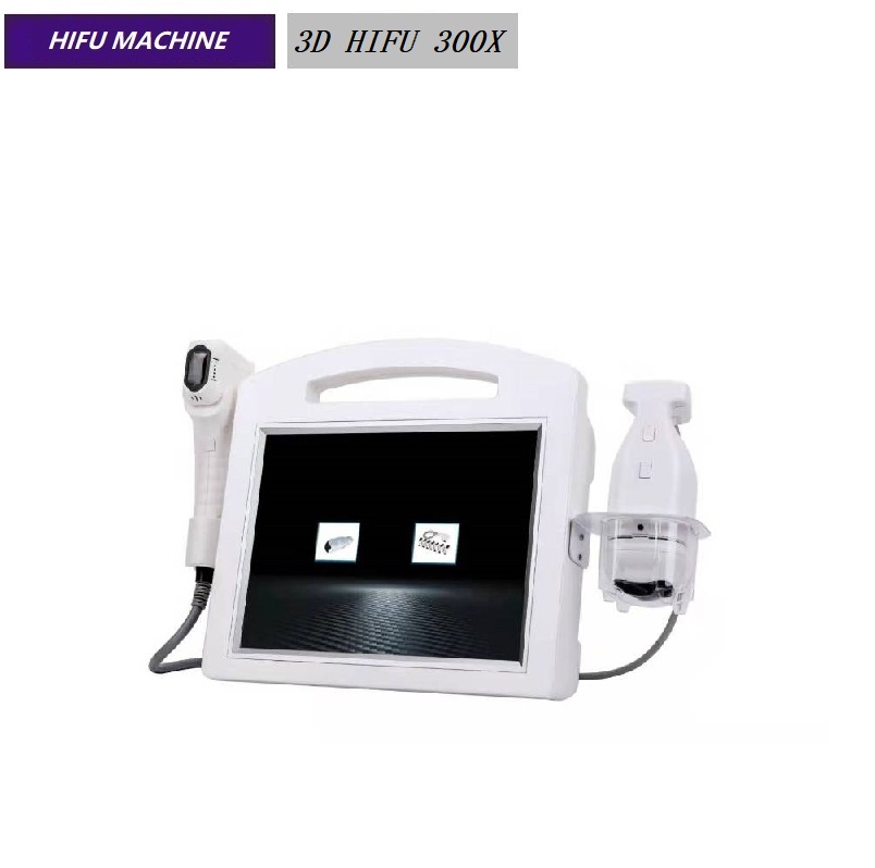 Portable 3D HIFU Machine Liposonix Body Slimming Facial Lifting Beauty Machine 3D HIFU 300X