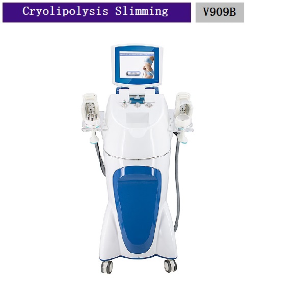 Vertical 3 In 1 Cryolipolysis Cavitation RF Fat Freezing Slimming Beauty Machine V909B