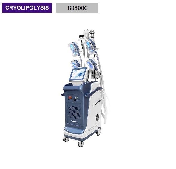 40K Cavitation RF Lipo Laser Cryolipolysisi Body Slimming Beauty Machine BD800C