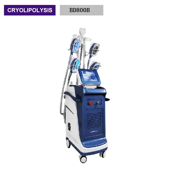 5 Size Handle Cryolipolysis Fat Freezing Weight Loss Beauty Machine BD800B