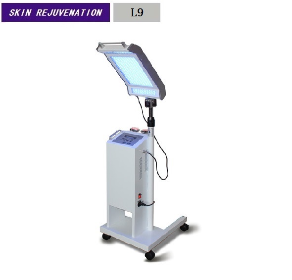 2 Skin Care Home Use Beauty Device Led Beauty Light Photon Therapy Pdt Beauty Machine  L9